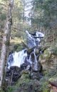 Torrent La Savoureuse